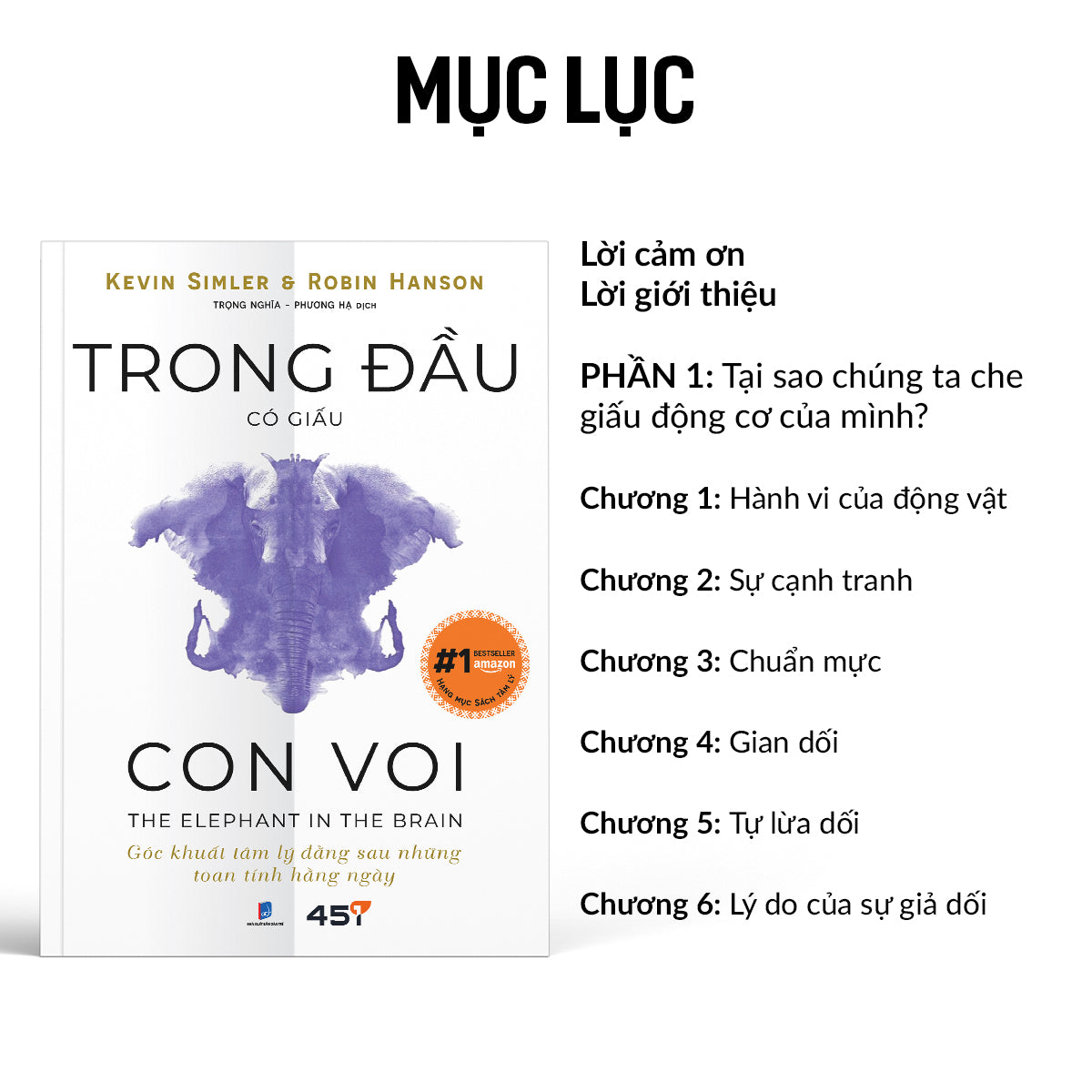 trong-dau-co-giau-con-voi