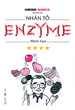 Nhân Tố Enzyme - Minh Họa