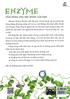 Nhân Tố Enzyme - Phương Thức Sống Lành Mạnh 
